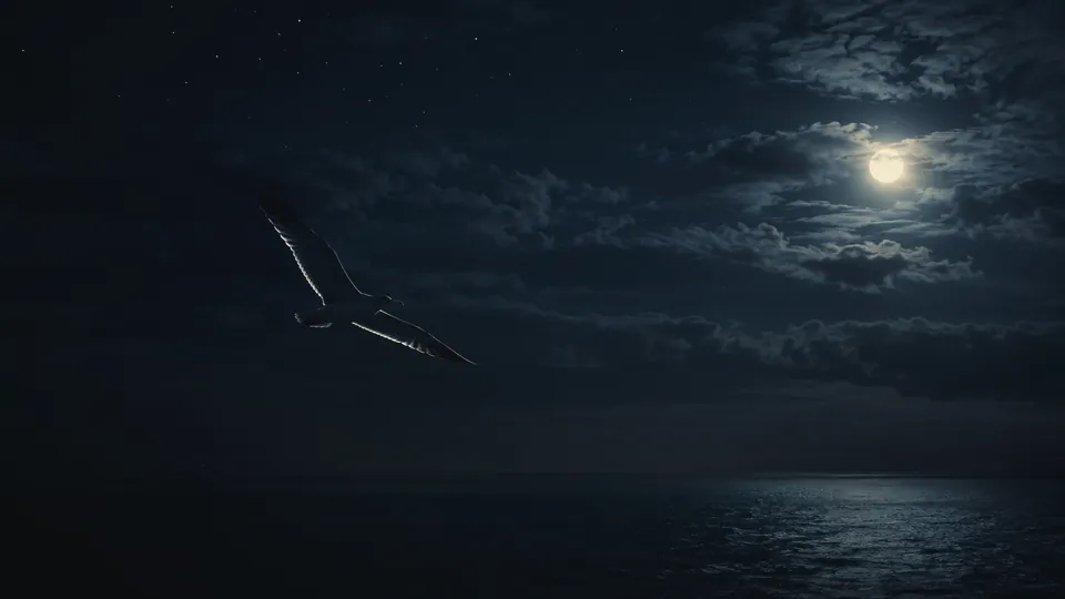 Un oiseau seul traverse une nuit de pleine lune au-dessus de la mer.
